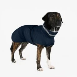 THE DOG IDEA Regenmantel Kayden Navy XXXS -Tierbedarfs Rabatt Geschäft b34fa31ccdc4617a61beca0e9885f8d1738e0e5d 1681323 de DE 4f609ef4877a48b367fd5a50d483a13a07b6ca7blJ2zsD