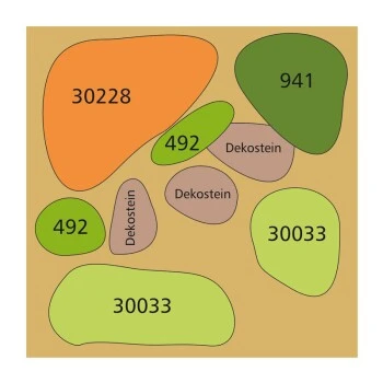 DENNERLE Wasserpflanzen-Set "30L Basic" 9 DENNERLE Wasserpflanzen-Set "30L Basic" – Bild 7