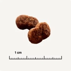 SELECT GOLD Hair+Skin Senior Geflügel & Lachs 2,5 Kg 12 SELECT GOLD Hair+Skin Senior Geflügel & Lachs 2,5 Kg -Tierbedarfs Rabatt Geschäft b42128ae83c41454d6be7d6047b7c0aaed5f051a 1001086011 de DE 6