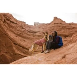 Ruffwear Hemp Hound™ Sweater Rosso M 15 Ruffwear Hemp Hound™ Sweater Rosso M -Tierbedarfs Rabatt Geschäft b5165b497ab2ca12deabc5b7372706595a781875 1639886 de DE 86e1a268a8e48c7c0eda07c50072b9e29b38b607mGQtvr