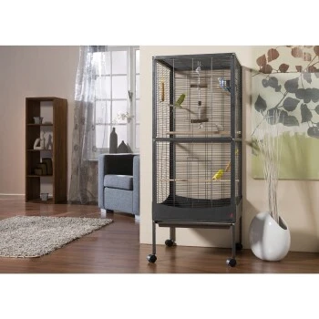 MORE FOR Voliere Melbourne 4 MORE FOR Voliere Melbourne – Bild 2