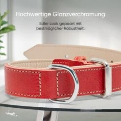 Freudentier Gefüttertes Halsband Aus Leder Rot L 14 Freudentier Gefüttertes Halsband Aus Leder Rot L -Tierbedarfs Rabatt Geschäft b6a6115b4bff2377ef42c420cc3939331dd65eb4 1655241 de DE 6d5809524c7eef7e530141859c494be8d690f770ogbuUj