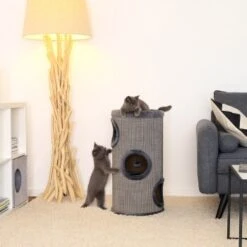 Lionto 70cm Kratztonne Mit Sisal Kratzturm Grau 11 Lionto 70cm Kratztonne Mit Sisal Kratzturm Grau -Tierbedarfs Rabatt Geschäft b9c579c02bd4b27a7cd2c8ab87d2c0034bf4adec 1657064 de DE e973731c60583050766ad0958ba52886adfe9853tk4Wok