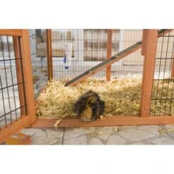 Trixie Nagerstall Natura Mit Auslauf 11 Trixie Nagerstall Natura Mit Auslauf -Tierbedarfs Rabatt Geschäft ba3a0bf8ca9f170c93bb20d8b9a1c996fc62f60a 018fa5b7bc6a586c5b399fb3273b0bd2829eee6a