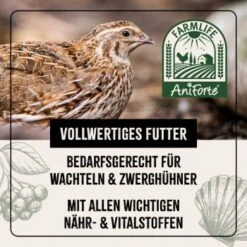 Aniforte FarmLife Wachtel Futter Müsli 5 Kg -Tierbedarfs Rabatt Geschäft bacb485441ba39b2a7c82beafff34de0223a2b69 1496424 de DE b7f0b87a7c416031b71c91845a0d8a62a679156cqPxdAd