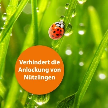 Ardap Fliegenfalle 5 Ardap Fliegenfalle – Bild 3