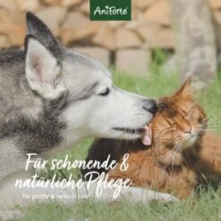 Aniforte VET Ohrenreiniger Kamille 250ml -Tierbedarfs Rabatt Geschäft bb72cf922fff80c2ad100a34a6028fcdc6e18ba8 1441191 de DE 04511de56e799f1986950cb040592ffe3d335883KMQ73o