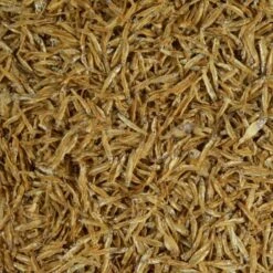 Tierbedarfs Rabatt Geschäft -Tierbedarfs Rabatt Geschäft bb925221748a4492314399d068ff6c12e60149ff 2b561a30a1c63288bfcb4562f34be7470e2a6637