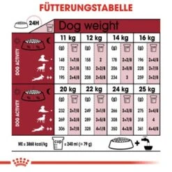ROYAL CANIN Medium Ageing 10+ 15 Kg 12 ROYAL CANIN Medium Ageing 10+ 15 Kg -Tierbedarfs Rabatt Geschäft bc3bd55707a48f0f87ce5dd933b48760ecdeb8cb f5b1d48838e32f6ded7eb9d098af0cd1549600bb