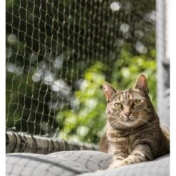 Trixie Katzenschutznetz Cat Protect 2 M, 1,5 M -Tierbedarfs Rabatt Geschäft bc6f0b8052c3a5b997776619d64762770aac1a9d 1017572 de DE trixie schutznetz wb2
