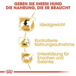 ROYAL CANIN Beagle Adult 3 Kg 11 ROYAL CANIN Beagle Adult 3 Kg -Tierbedarfs Rabatt Geschäft bd1d862302227d3355d22f5dd63b0fb6e01c0979 a169571c5cbde6082adf0be87e23db9042e69066