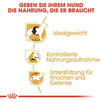 ROYAL CANIN Beagle Adult 3 Kg 6 ROYAL CANIN Beagle Adult 3 Kg – Bild 4