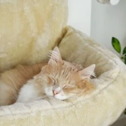 Schlitzohr Heizungsliege Lucky Beige -Tierbedarfs Rabatt Geschäft bdc02033928d033279e49ebefe91371e629dfd2f 1484673 de DE 4daf09016934a9074c92f48c173e840fa6385a4agwWEjb