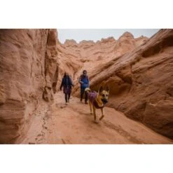 Ruffwear Overcoat Fuse™ Hundejacke Violett XXS 21 Ruffwear Overcoat Fuse™ Hundejacke Violett XXS -Tierbedarfs Rabatt Geschäft be1df80a58a073c4a06905f9850fdb02868343c3 1639761 de DE 6b99be5157e3de813670a6d4268b03b177d774edbPJ4YO