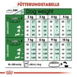 ROYAL CANIN Mini Ageing 12+ 3,5 Kg -Tierbedarfs Rabatt Geschäft be6bb6d59bac0fbe79bccee10fabcc359848fd38 1002985008 de DE rc 5