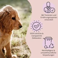 FAVLY Petfood Premium Naturkauartikel Rinderlunge 900 G -Tierbedarfs Rabatt Geschäft bf0295fc51175eb9c0e295a7e2fc491189dc6682 1473997 de DE a2c9f8d86d80fc90ca8f9c923a08051ec130ef8deOeplF