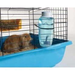 Savic Trinkflasche Source 300 Ml -Tierbedarfs Rabatt Geschäft bf715cf9bf40f48bf8ff329090400df78509b41a 9b337ed2937801349f27dcf1bb0ee66e979c5a5f