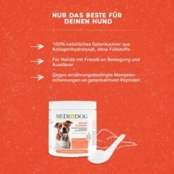 MediDog Gelenkschmiere 8 MediDog Gelenkschmiere -Tierbedarfs Rabatt Geschäft c2260bdbd924fcc5c3919c27254c4c1dc8dd9d9a 1660407 de DE 24aca3d9f49784b2b40f2e4078cdf1aaa1e37af9iudOQZ