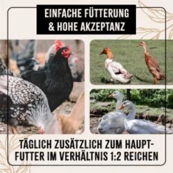 Aniforte FarmLife Geflügel Körner Auslese 5 Kg 11 Aniforte FarmLife Geflügel Körner Auslese 5 Kg -Tierbedarfs Rabatt Geschäft c2628ae2c0585f930beaae0412860d333df94762 1496422 de DE 676e8b741a50f1249a5e464f85e4e17fbbf022e259cv7l