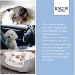 ChronoBalance BactoFacto Probiotischer Geruchsstopp Pads Für 2 Liter 20 Ml 13 ChronoBalance BactoFacto Probiotischer Geruchsstopp Pads Für 2 Liter 20 Ml -Tierbedarfs Rabatt Geschäft c27e75fc226c89e592b2af9866887997e79057a8 1397549 de DE 11eaf103bff429178d8c79950fc83faf63345183BU6JEF