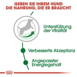 ROYAL CANIN Mini Adult 8+ 8 Kg 11 ROYAL CANIN Mini Adult 8+ 8 Kg -Tierbedarfs Rabatt Geschäft c353b0de3f48a724e716c1c76485d0baab2f2c1c b5e80ca1f67a73b432838d9b8dc4feac61bcbeef