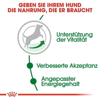 ROYAL CANIN Mini Adult 8+ 8 Kg 6 ROYAL CANIN Mini Adult 8+ 8 Kg – Bild 4
