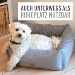 KaraLuna Autositz Kleine Hunde -Tierbedarfs Rabatt Geschäft c43a66d74eef51b612eae7a548cb2b038009505b 1657442 de DE c74c72488e6718cfafbeff5d99ede07a37048260HkNpMo