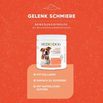 MediDog Gelenkschmiere 4 MediDog Gelenkschmiere – Bild 2