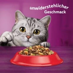 Whiskas Beutel 1+ Mit Rind 3,8kg -Tierbedarfs Rabatt Geschäft c556c1aa9e739d7f3055c7a47f389c5ccefe388c 1226411 de DE 05900951258770 C1L1 s01 v01 3 7