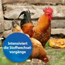 Quiko Plus 400 G: Extra Proteine Für Jungvögel 8 Quiko Plus 400 G: Extra Proteine Für Jungvögel -Tierbedarfs Rabatt Geschäft c78ec5bd660eb7987c23754c3e76add74402f4c7 1386524 de DE e4010279085a506ac4331893b53789d7d4aec1cdixQ3v9