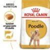 ROYAL CANIN Poodle Adult 7,5 Kg -Tierbedarfs Rabatt Geschäft c9ab7727cddcc31482d3c927f46669d9f090b5bb df3219920b39736df52bac885423fbb842b2a891