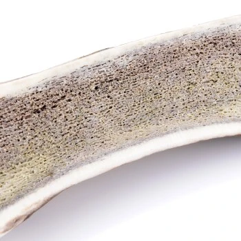 Larsson Halbiertes Geweih M Ca. 80-120g 5 Larsson Halbiertes Geweih M Ca. 80-120g – Bild 3