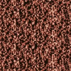 Sera Discus Granulat Nature 1 L -Tierbedarfs Rabatt Geschäft ca248dd0ba07f03fb2cf1b0709f63f0ab1581893 f69e8ade413e2ddd0c93becdc0512fb80fd697bb