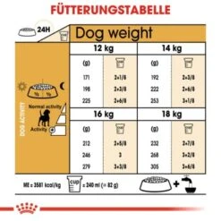 ROYAL CANIN Beagle Adult 3 Kg 9 ROYAL CANIN Beagle Adult 3 Kg -Tierbedarfs Rabatt Geschäft cc7a6d4b52bba4e9a62c81ff4c53d7600cb617c8 9a03bf3a48ae06efdebbcd105c234e412632e3be