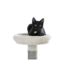 Kerbl Kratzbaum Creative Adventure 9 Kerbl Kratzbaum Creative Adventure -Tierbedarfs Rabatt Geschäft cd831c82afd6be187c9e1aebf4a78e2ebe782c44 ce7c27aa5a680126ca08b882797ce2b921ff7a47