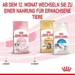 ROYAL CANIN Kitten 4 Kg 17 ROYAL CANIN Kitten 4 Kg -Tierbedarfs Rabatt Geschäft cf133300f1a1c045b6143772211651d61c06ad62 3182550702973 7