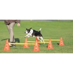 Trixie Dog Activity Hindernisse Ø23x30cm 7 Trixie Dog Activity Hindernisse Ø23x30cm -Tierbedarfs Rabatt Geschäft cf5032631aac0df221da4281f2bf49a2321f1aa1 1287032 de DE Trixie Hindernisse wb 1