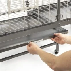 Montana Cages Voliere Paradiso 150 Hellgrau/ Dunkelgrau 11 Montana Cages Voliere Paradiso 150 Hellgrau/ Dunkelgrau -Tierbedarfs Rabatt Geschäft cff8935c3d42b5f1afc2a2b9b04835d436e40235 1330426 de DE e8d83e5dd901aa0fdc571bf479d1c2e553b74a95Qcbq2F