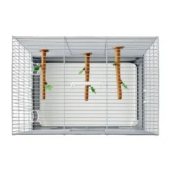 Savic Vogeltransportbox Primo 40 9 Savic Vogeltransportbox Primo 40 -Tierbedarfs Rabatt Geschäft d0137ead5389abc3a8c42310a827c524b766fe1e e82c8aed5381bd8b3950178b79f9bf677032da65