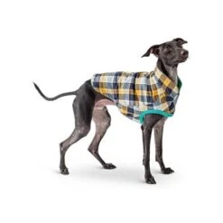 GF Pet Reversible Trail Jacke Grün XXS 8 GF Pet Reversible Trail Jacke Grün XXS -Tierbedarfs Rabatt Geschäft d0d86a70089b79c26342e2430bae8caf960ccaed befa58813c2949e634e5b991f29c2ef187a974fc