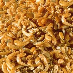 Tierbedarfs Rabatt Geschäft -Tierbedarfs Rabatt Geschäft d105bcbfd285971eff17442d7ca02beb77124319 c8afa1f185a9bcf6f07fb46149d3ca9723165e33