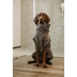 Lills Lill's Hundebademantel "Night Blue" 35 Cm 7 Lills Lill's Hundebademantel "Night Blue" 35 Cm -Tierbedarfs Rabatt Geschäft d200b579b2b65ad9031ca5a6286c317e485ef232 1653379 de DE 98bc74239c4ab048310224eeb67c837697c0c318SRPWrI