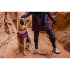 Ruffwear Overcoat Fuse™ Hundejacke Violett XXS 22 Ruffwear Overcoat Fuse™ Hundejacke Violett XXS -Tierbedarfs Rabatt Geschäft d3f94d44f6e67346b4db3fd52a9a9b783d58a1b6 1639761 de DE f363d728c6c2883bd7afb3f30f0490bc0ed64f63oUWWPq