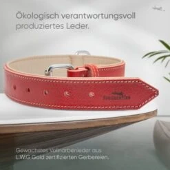 Freudentier Gefüttertes Halsband Aus Leder Rot L 13 Freudentier Gefüttertes Halsband Aus Leder Rot L -Tierbedarfs Rabatt Geschäft d409cad84e2e26e5e855246f3d62526ca2fa7cd7 1655241 de DE b688ee419d994f89d4885d7f15c32b5b6f7cc00bZYodZu