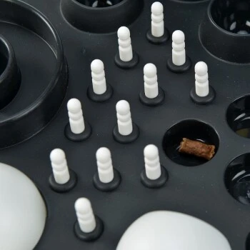 MORE Intelligenzspielzeug Genius 4 MORE Intelligenzspielzeug Genius – Bild 2