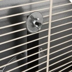 Wagner Montana Cages Metall-Laufrad Ø 38cm 11 Wagner Montana Cages Metall-Laufrad Ø 38cm -Tierbedarfs Rabatt Geschäft d617bd4dfbc1724778c20b1c5755c0a1ef592d48 1484280 de DE 05a82c0dc36325300cf7e58e8159a2a6bf92c5f4CacJUu