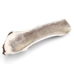 Larsson Halbiertes Geweih M Ca. 80-120g 9 Larsson Halbiertes Geweih M Ca. 80-120g -Tierbedarfs Rabatt Geschäft d681c467faf90aaafb4106ac6ff11dfde40fa0b4 1057939 de DE 07a5583c6c0a2422d7e96e9d106fdd121d9d8ba6Brcgig