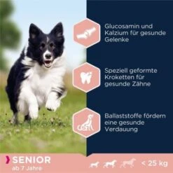 EUKANUBA Senior Small & Medium Breed Lamm & Reis 12 Kg -Tierbedarfs Rabatt Geschäft d6ab91a099af21f8767b6e3ef91e63c46e7659a9 38e1b9385153b1f6364894e35d40afe9cd5b0cab