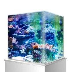 Amtra Nanotank Glasbecken 18 L 9 Amtra Nanotank Glasbecken 18 L -Tierbedarfs Rabatt Geschäft d6ea9c547f43327bea6d29a541b1445339c9764e 52464418892c0bd7f778500c51d40324e780a12e