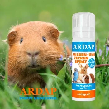 Ardap Milben- Und Zeckenspray Für Nager Und Vögel 100ml 4 Ardap Milben- Und Zeckenspray Für Nager Und Vögel 100ml – Bild 2